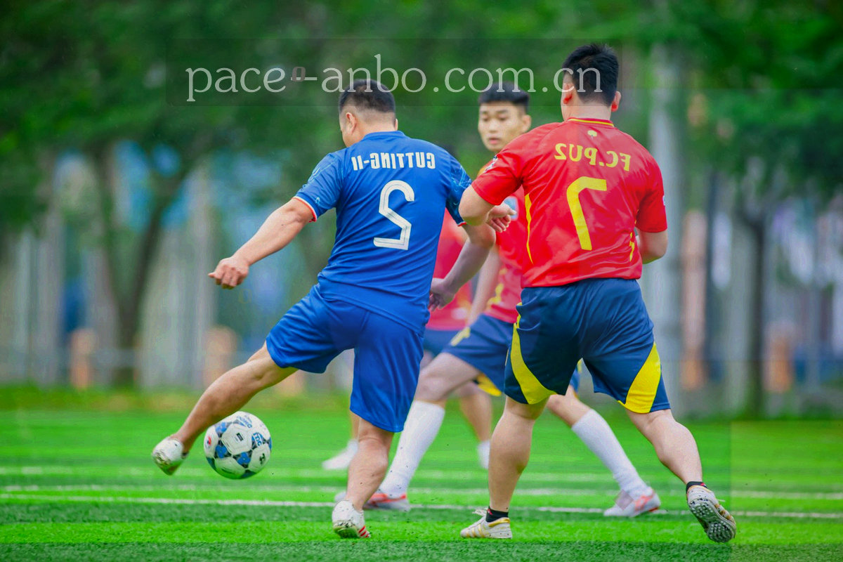 正式版内容栏目中心界面，第二栏标注为数据面板入口，旁边是九类赛前信息